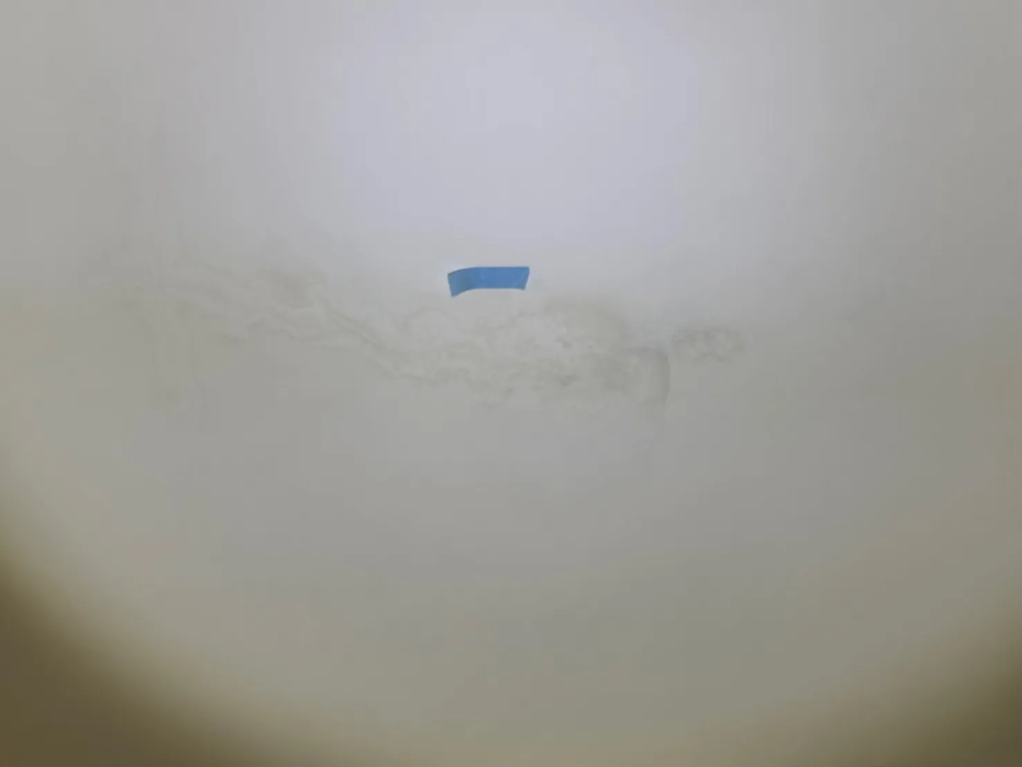 亞灣區 星玥灣
