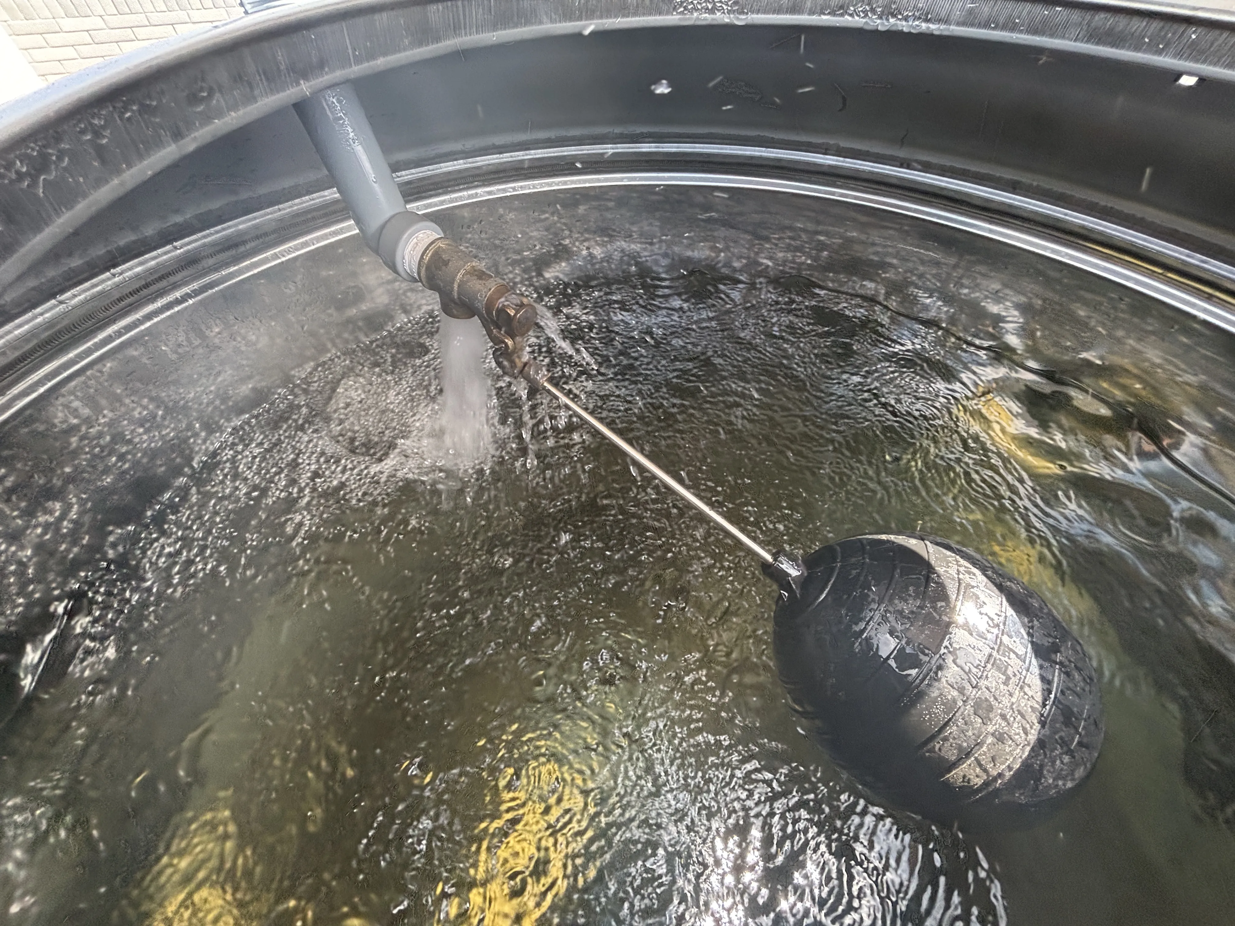 潮州 鼎極泗林