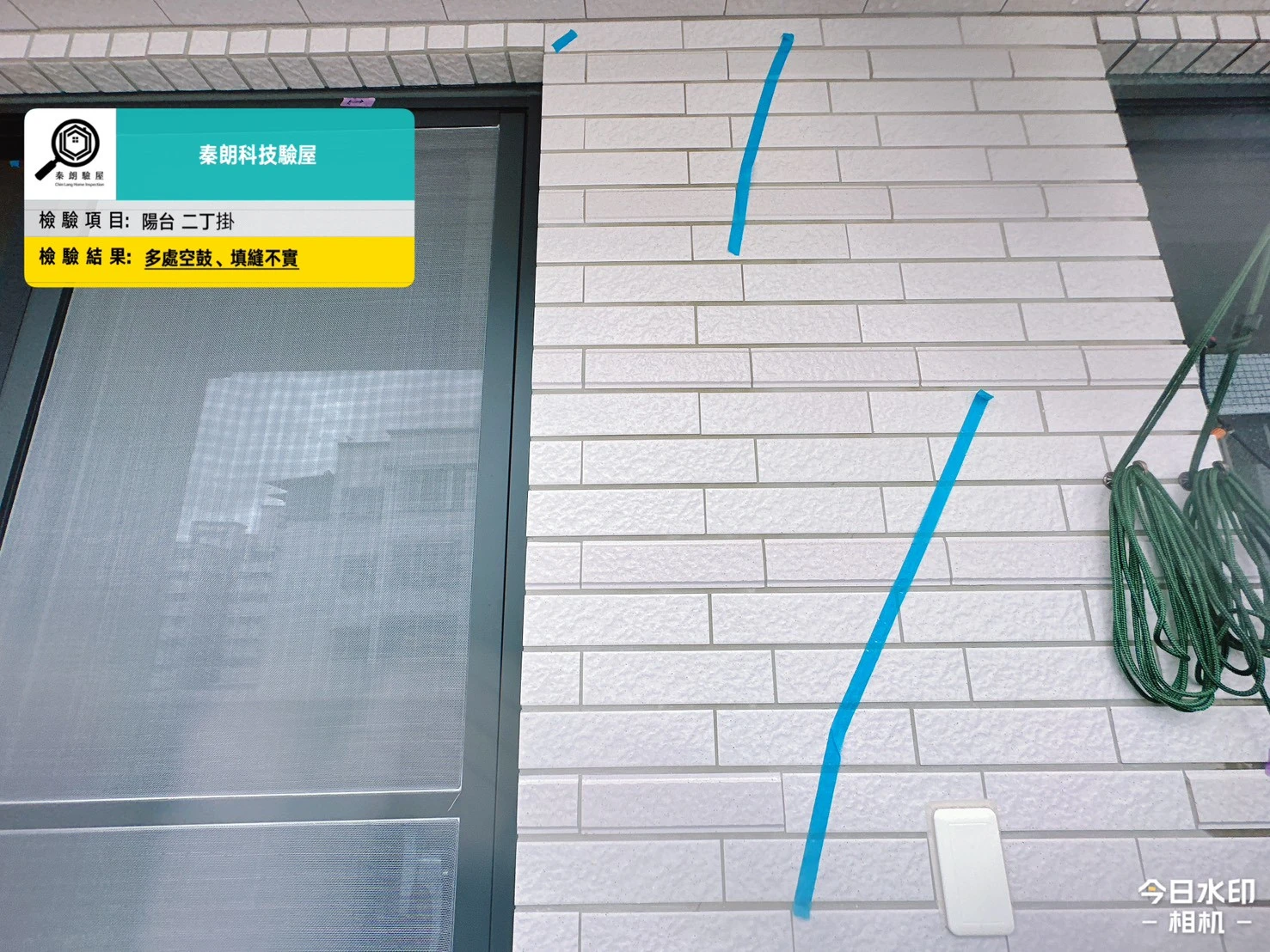 大樹 旺萊市