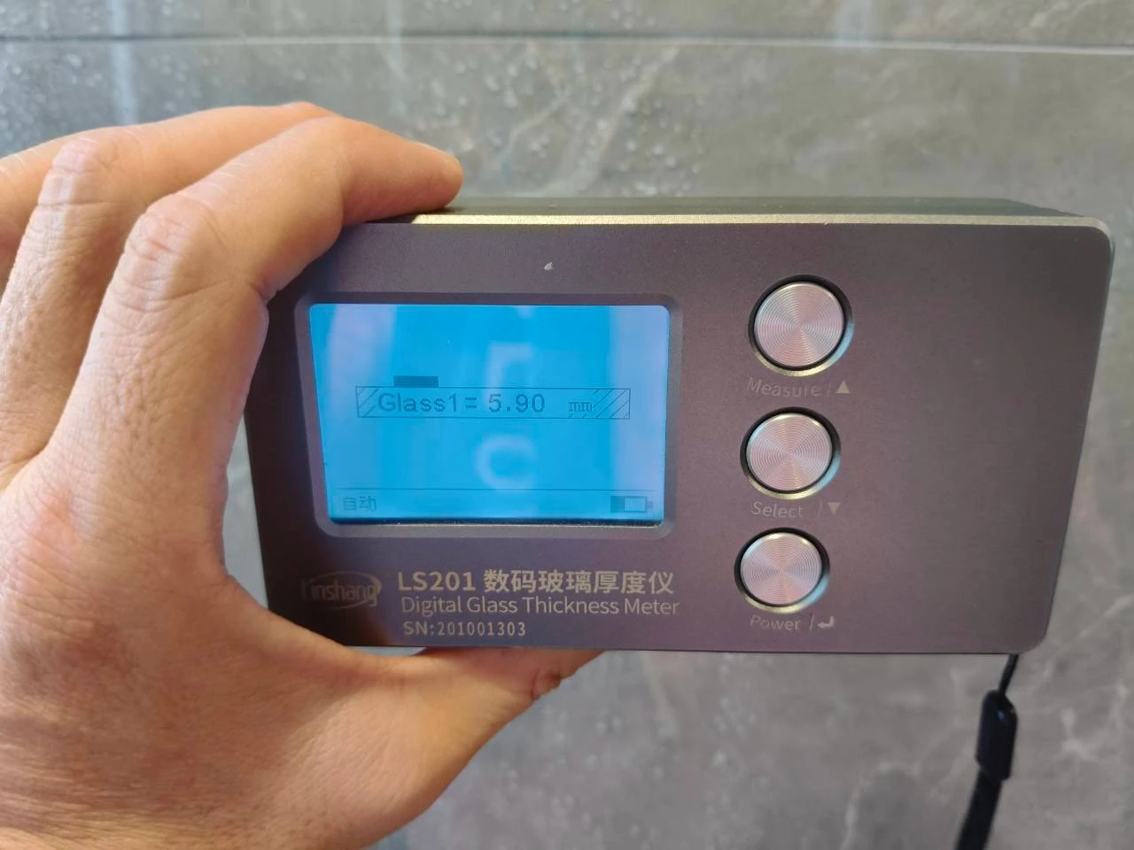 大樹 淞之曜