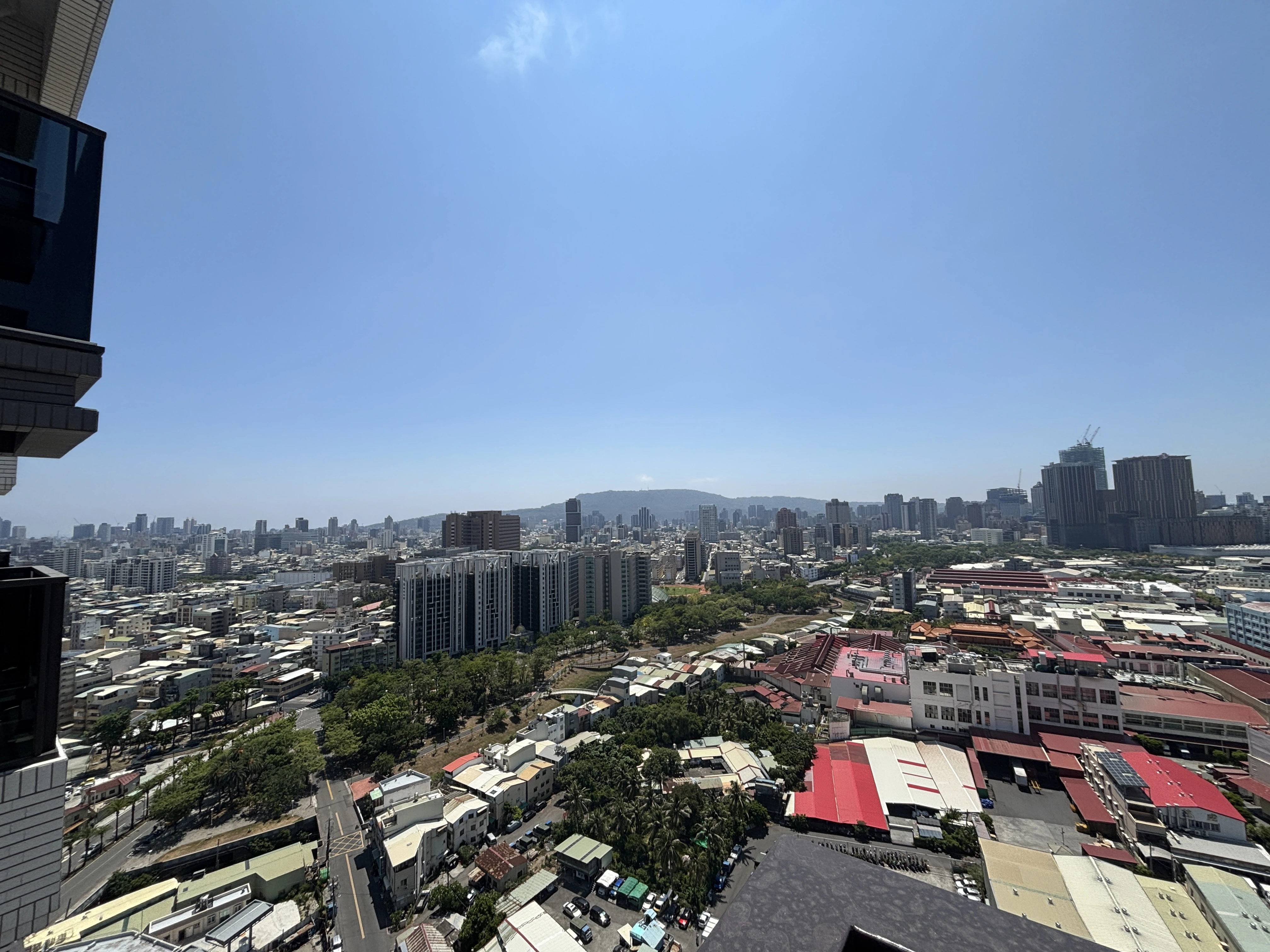 龍騰鑫空樹