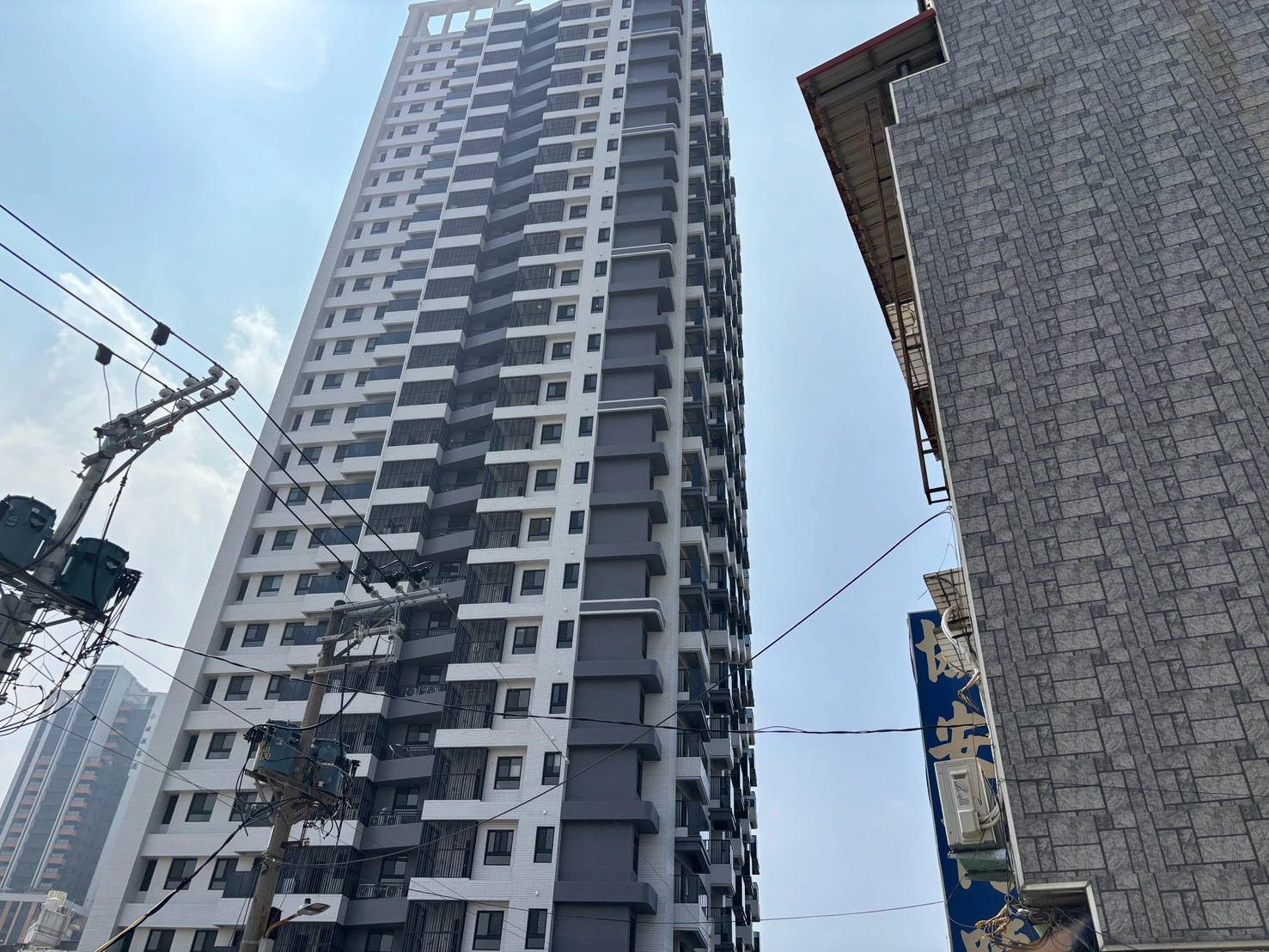 龍騰 鑫空樹