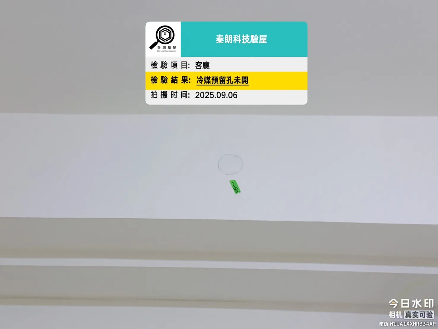 鳳甲 新樂活