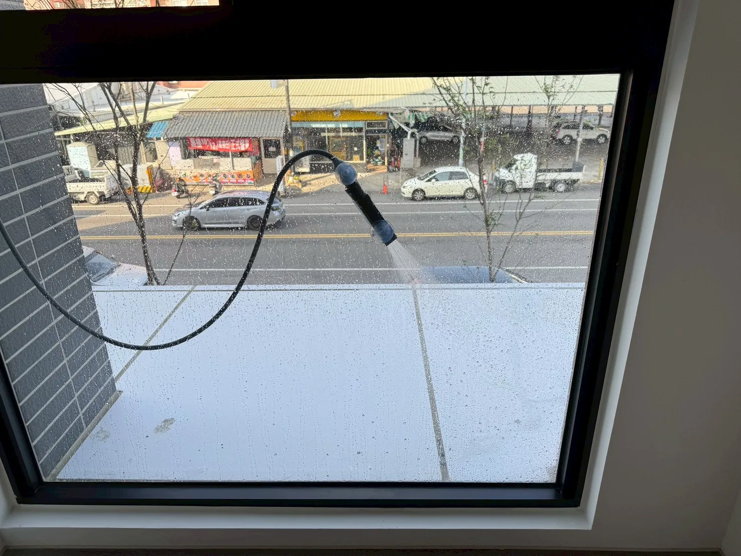 新營 清景麟長勝