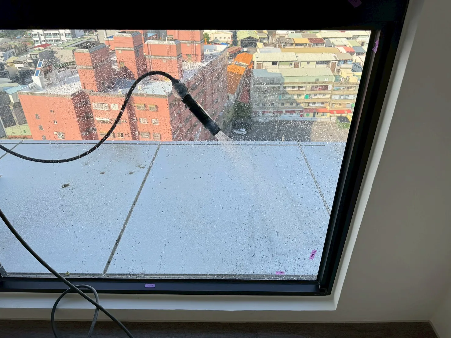 新營 清景麟長勝