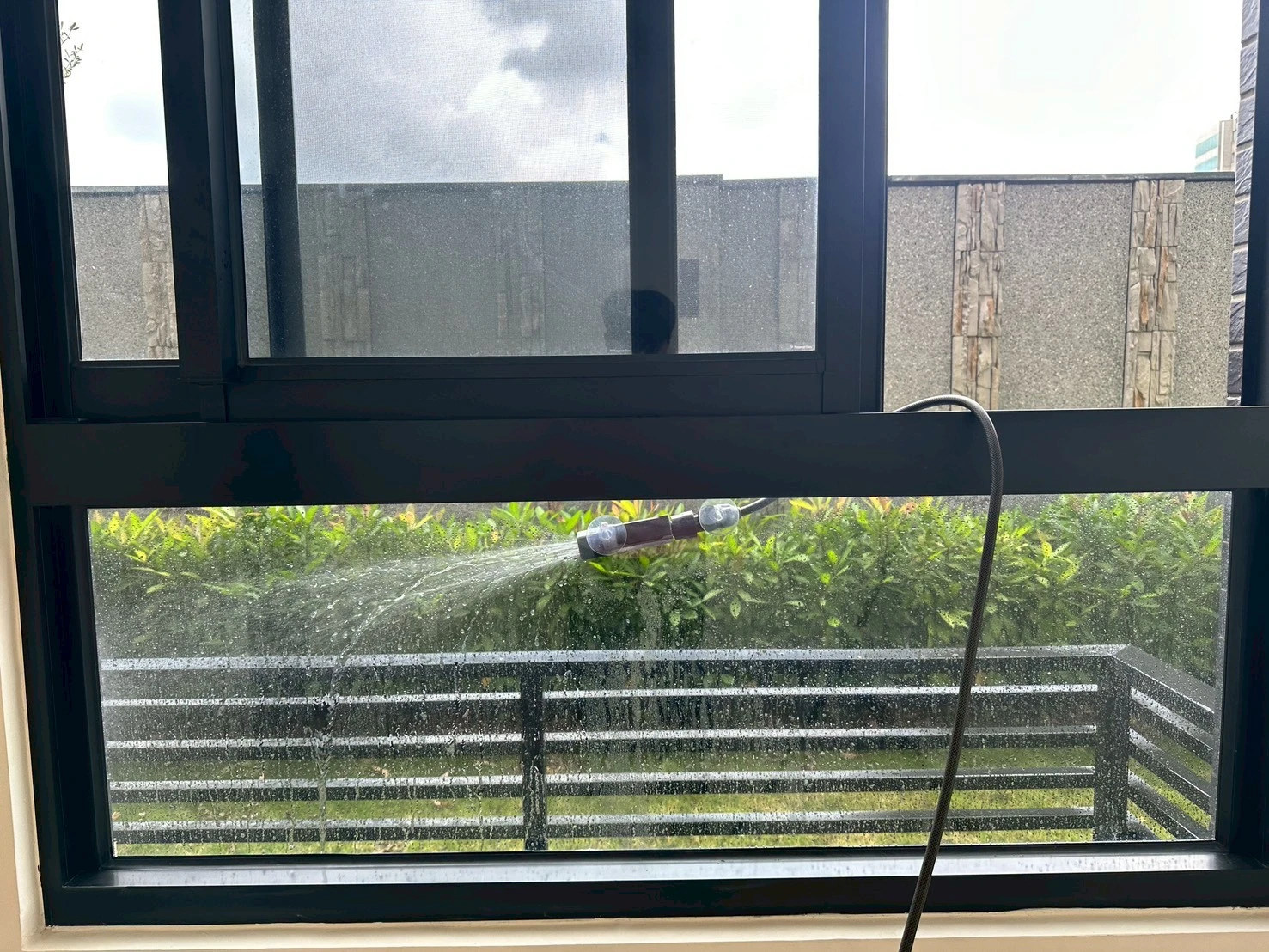 城揚 綠廳院
