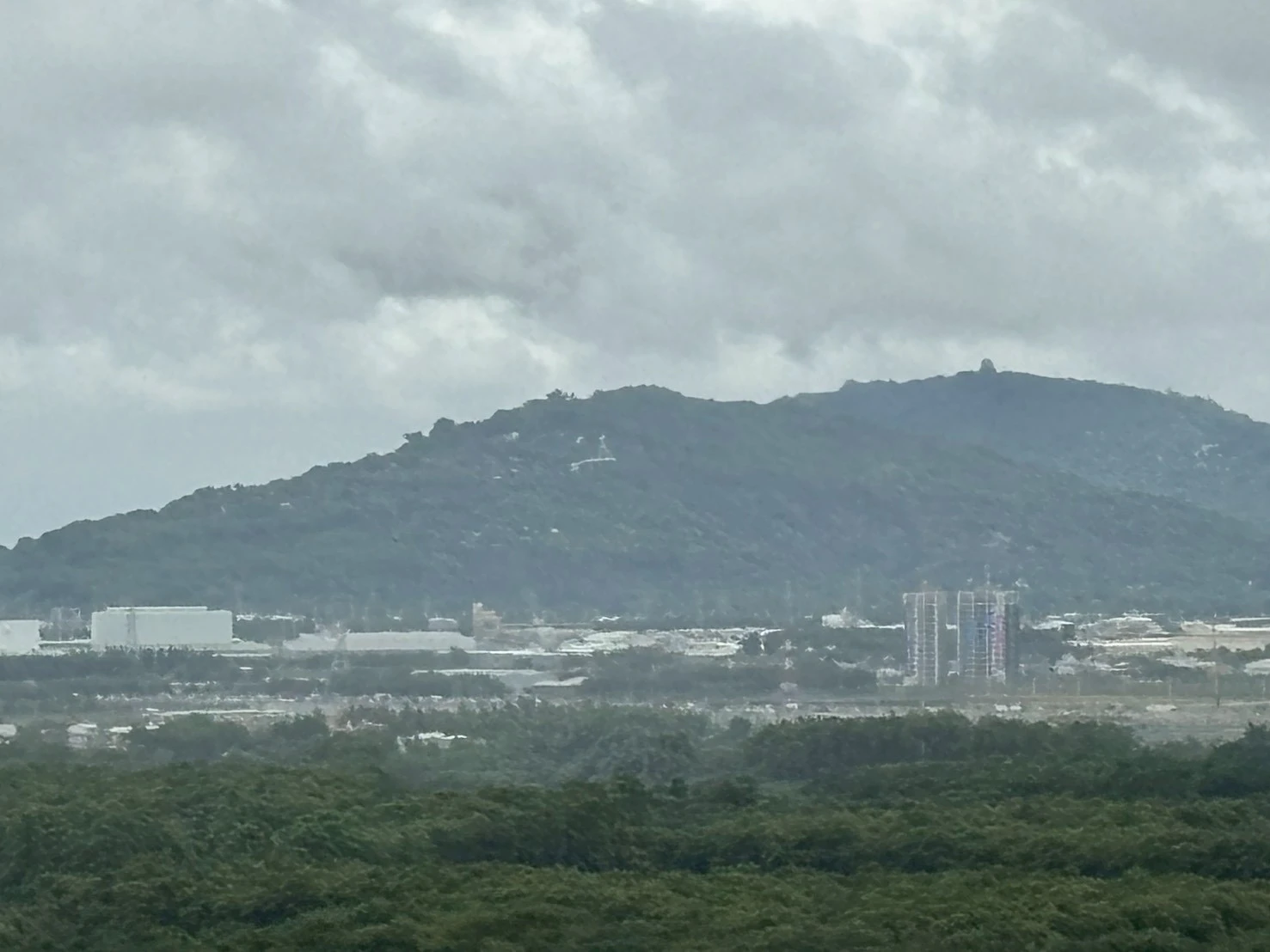 楠梓 都薈綻