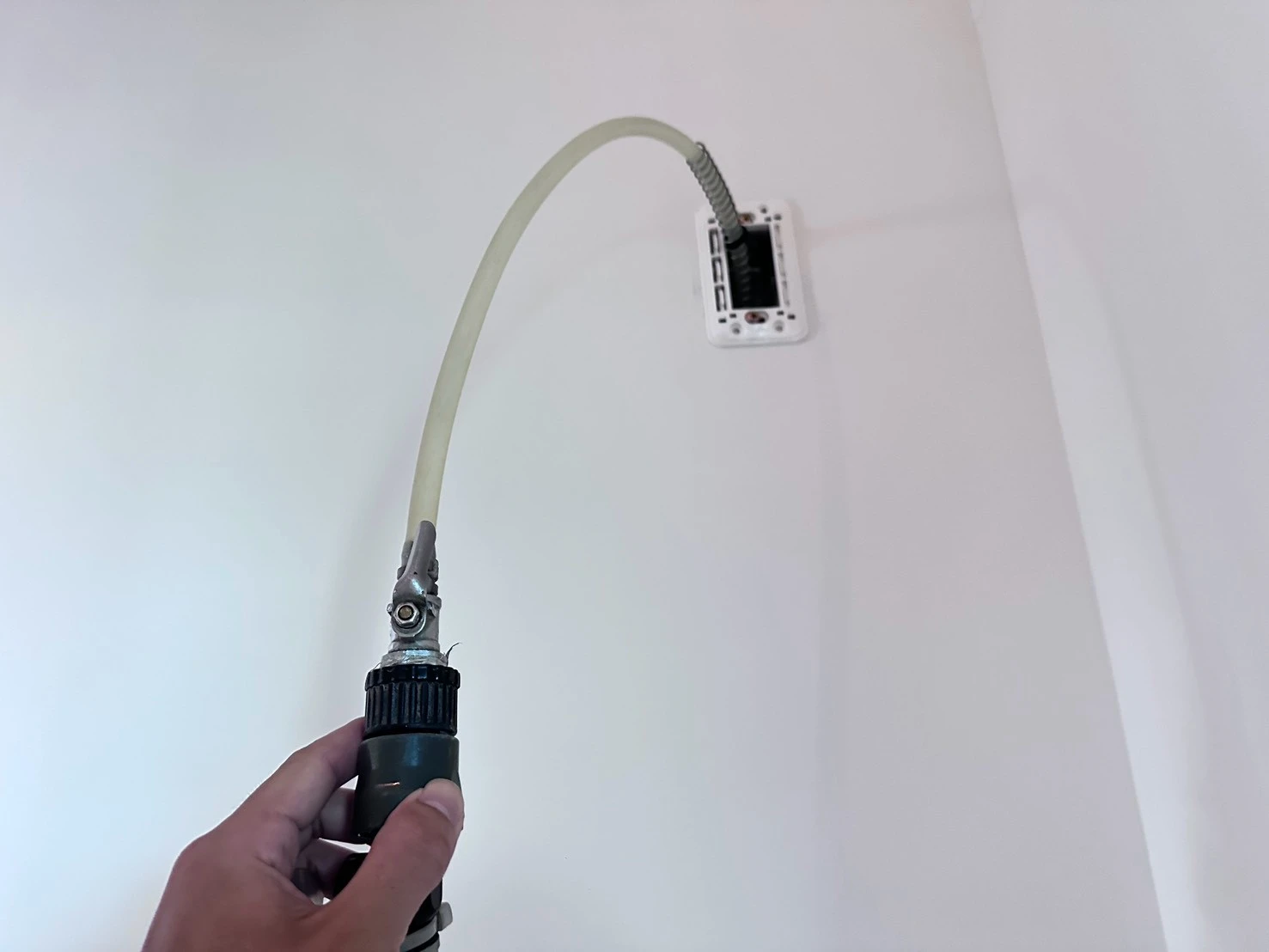 洄燕潮
