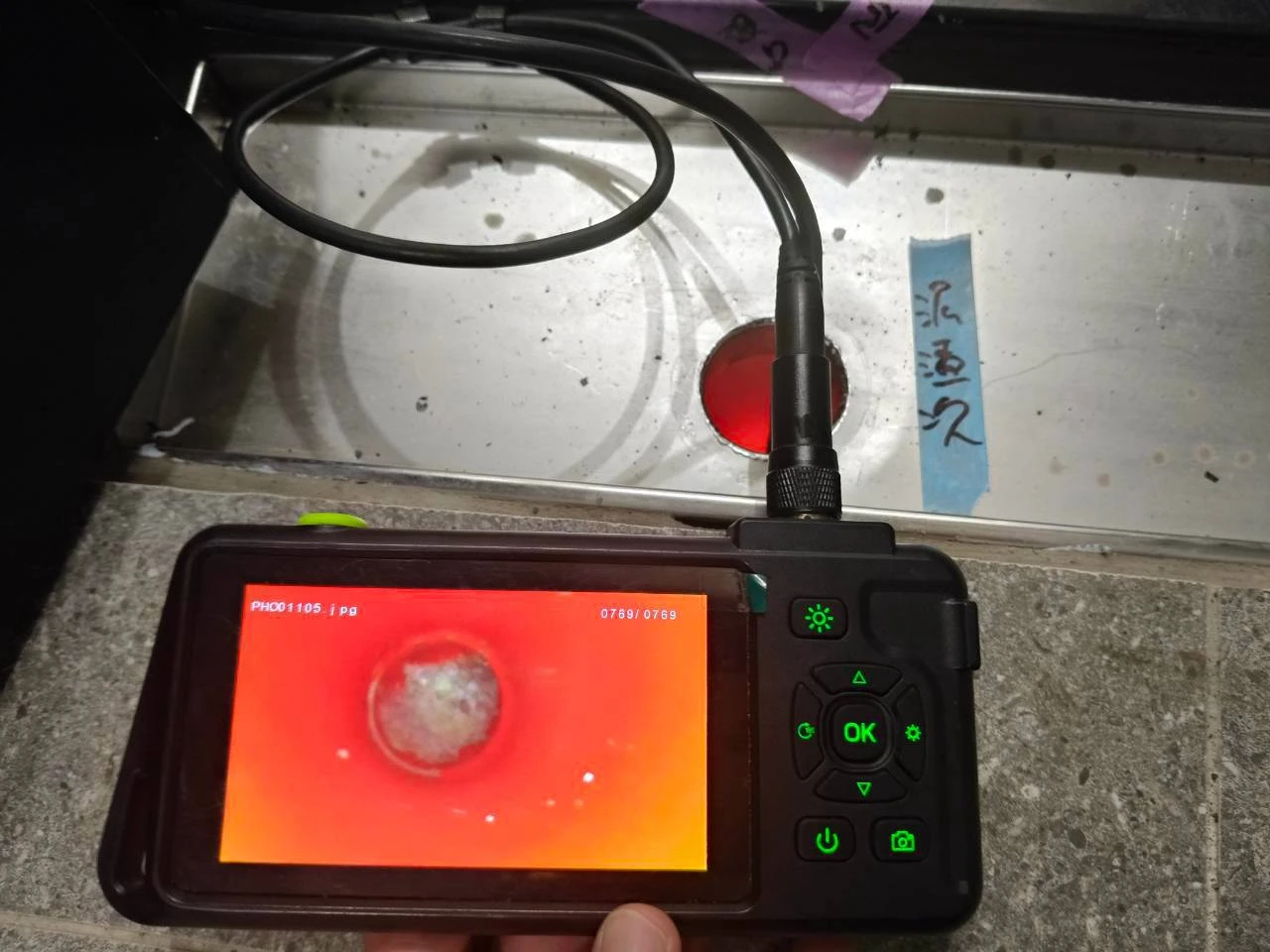 楠梓 高大之森