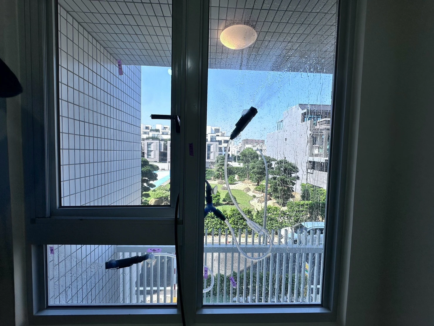岡山 一功青