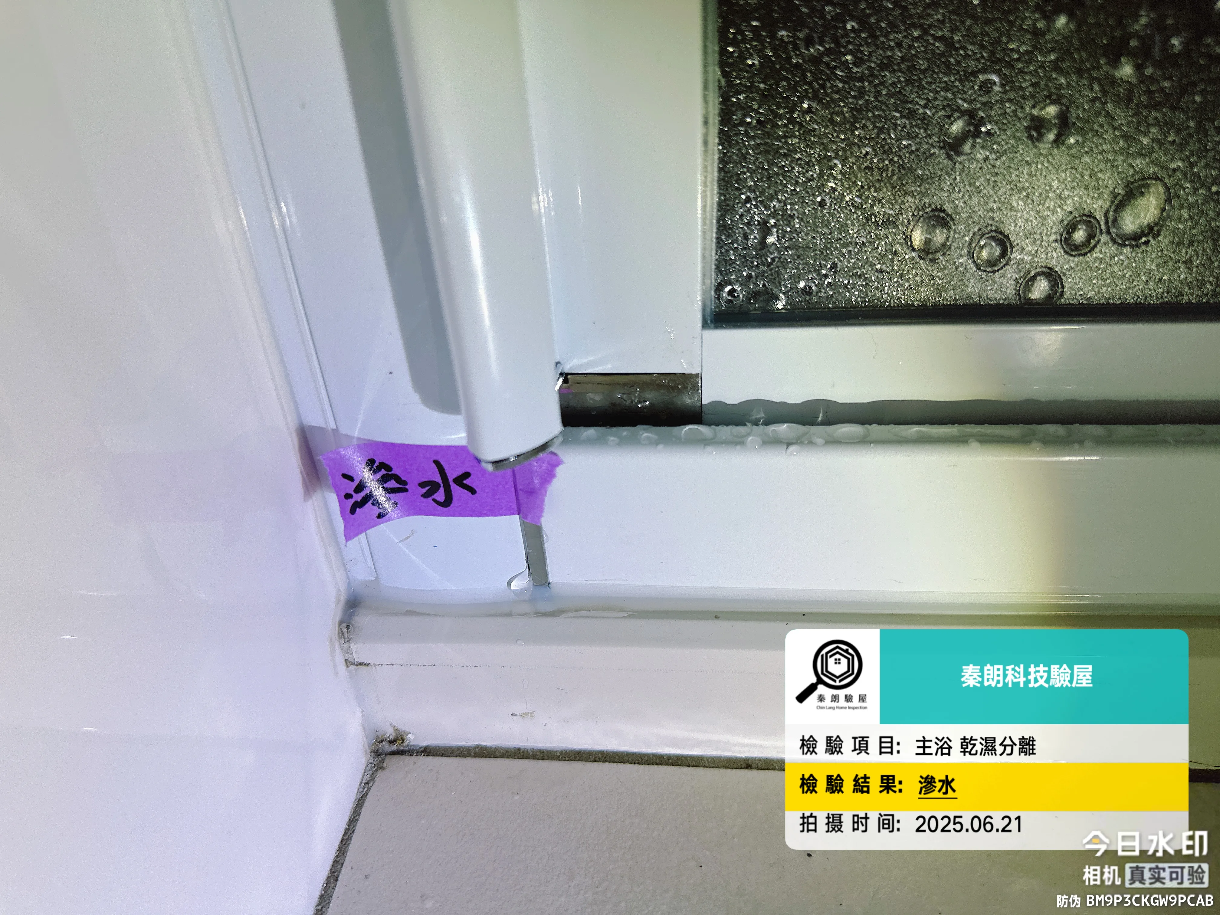 柳營 樂沐NEW贏
