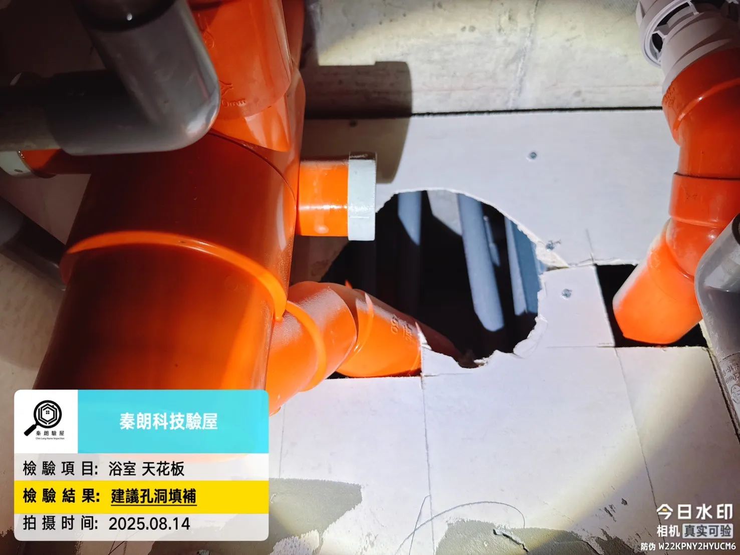 中西區 佳鋐郡