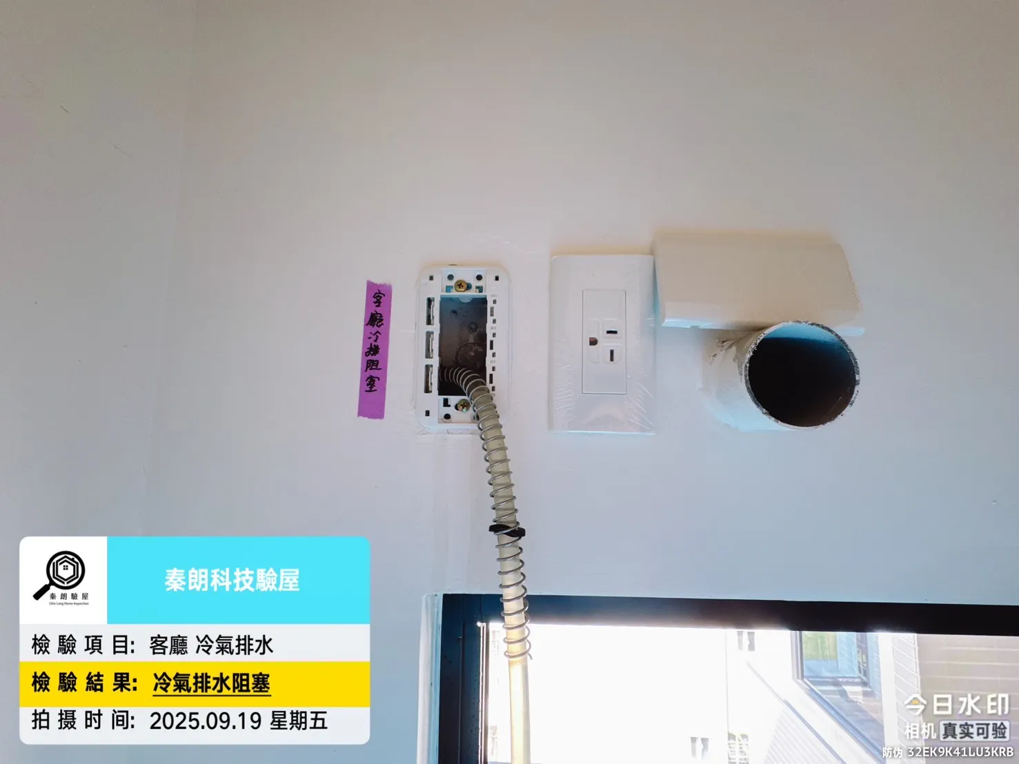 屏東 大佶成禾風5