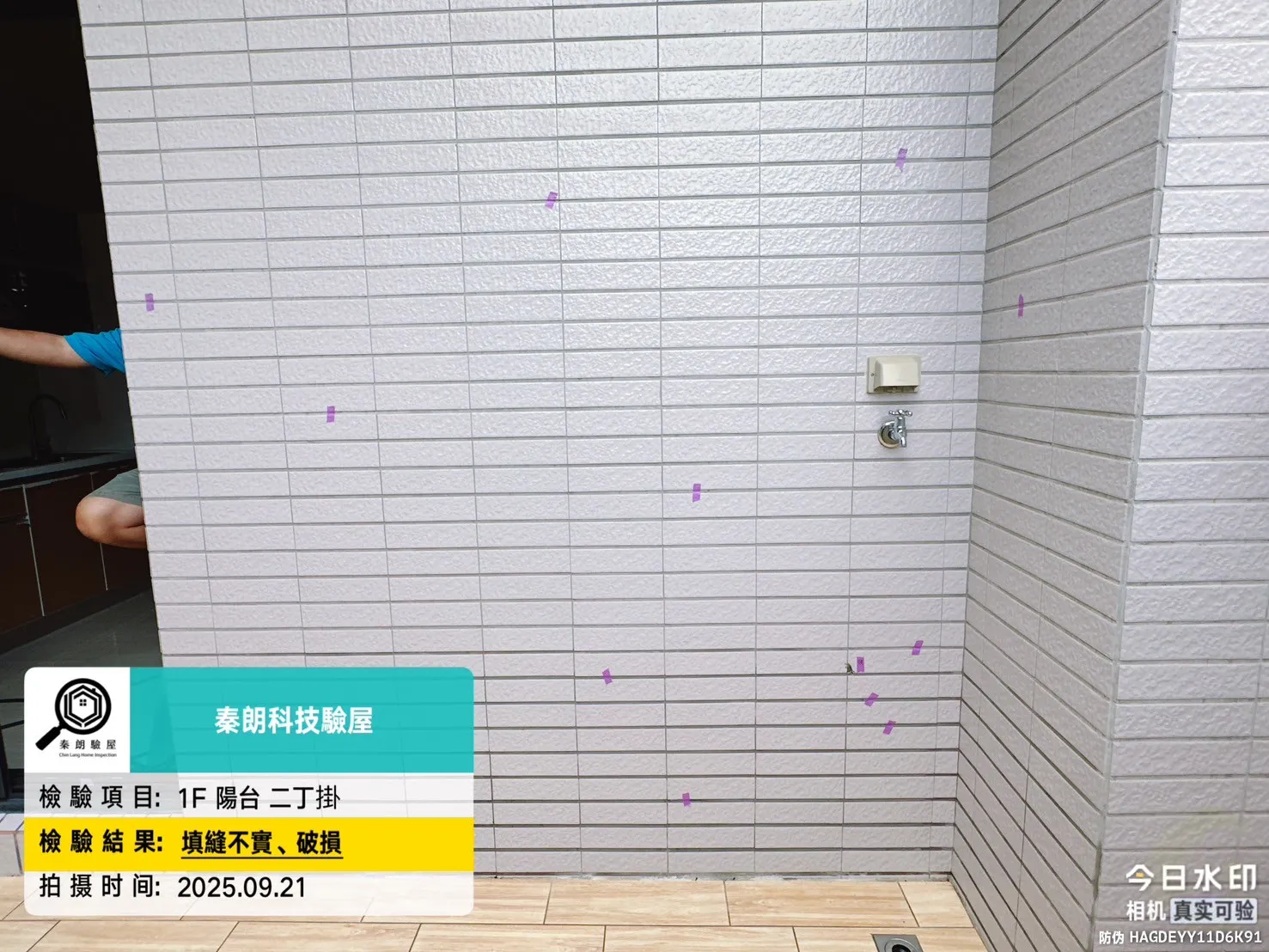 內埔 皇家欣天地 森鄰
