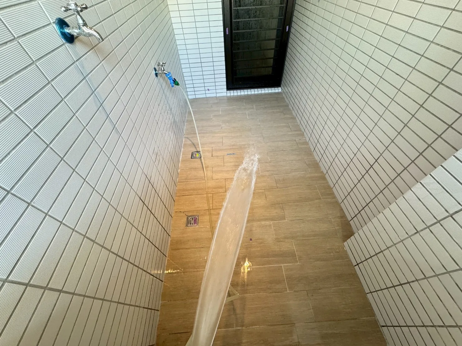 新營 清景麟長勝