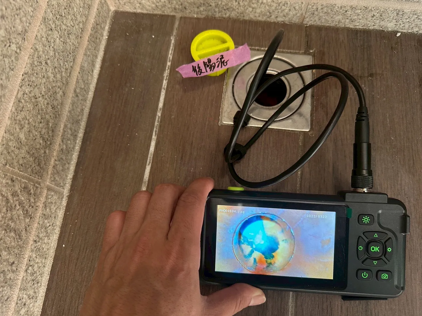 鳳甲 銳揚新生活