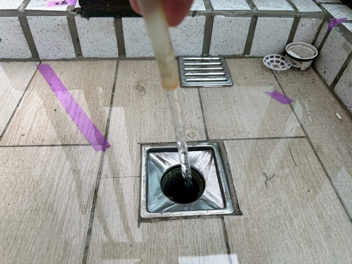 龍騰鑫空樹