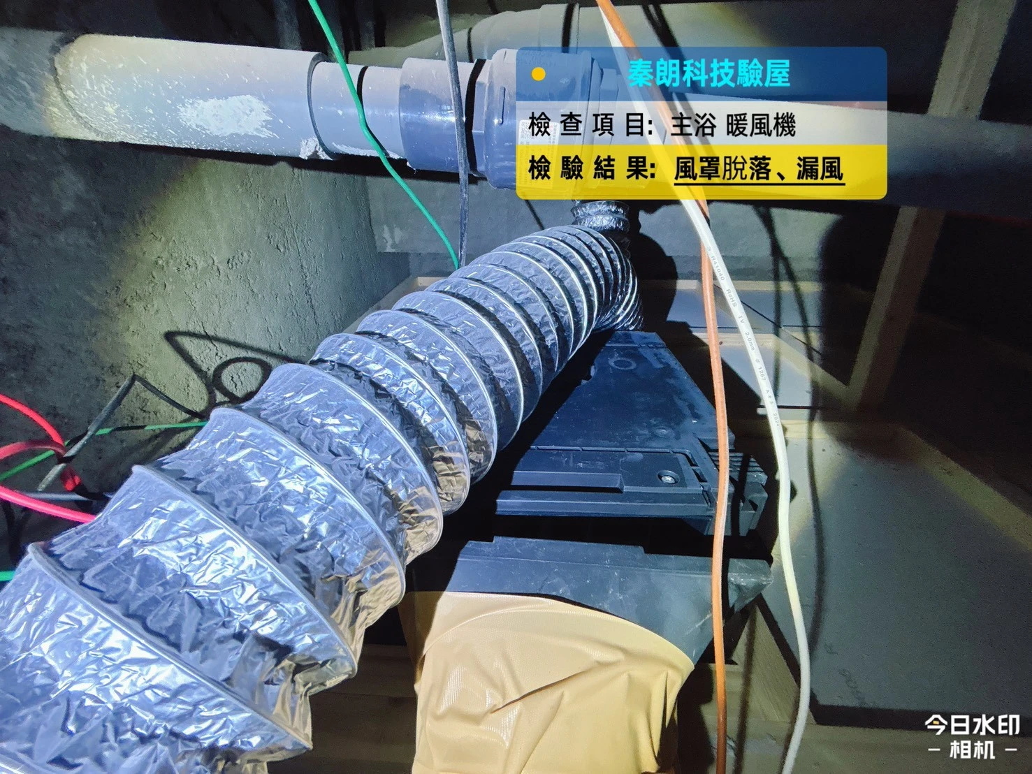 楠梓 高大之森