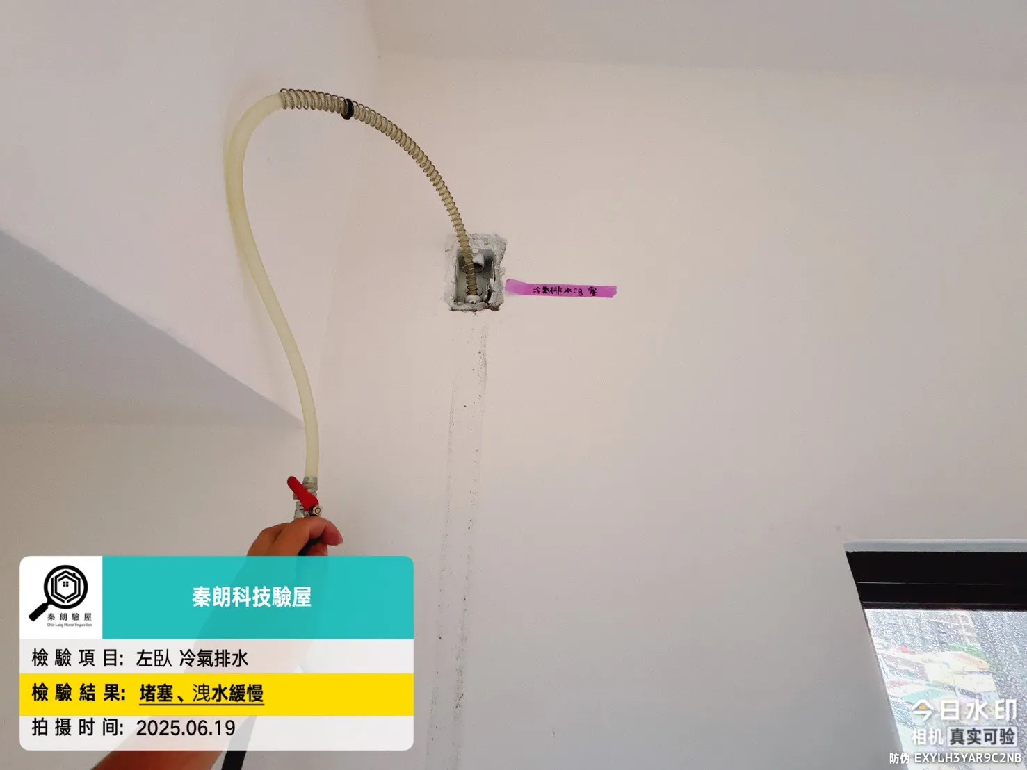 亞灣區 星玥灣