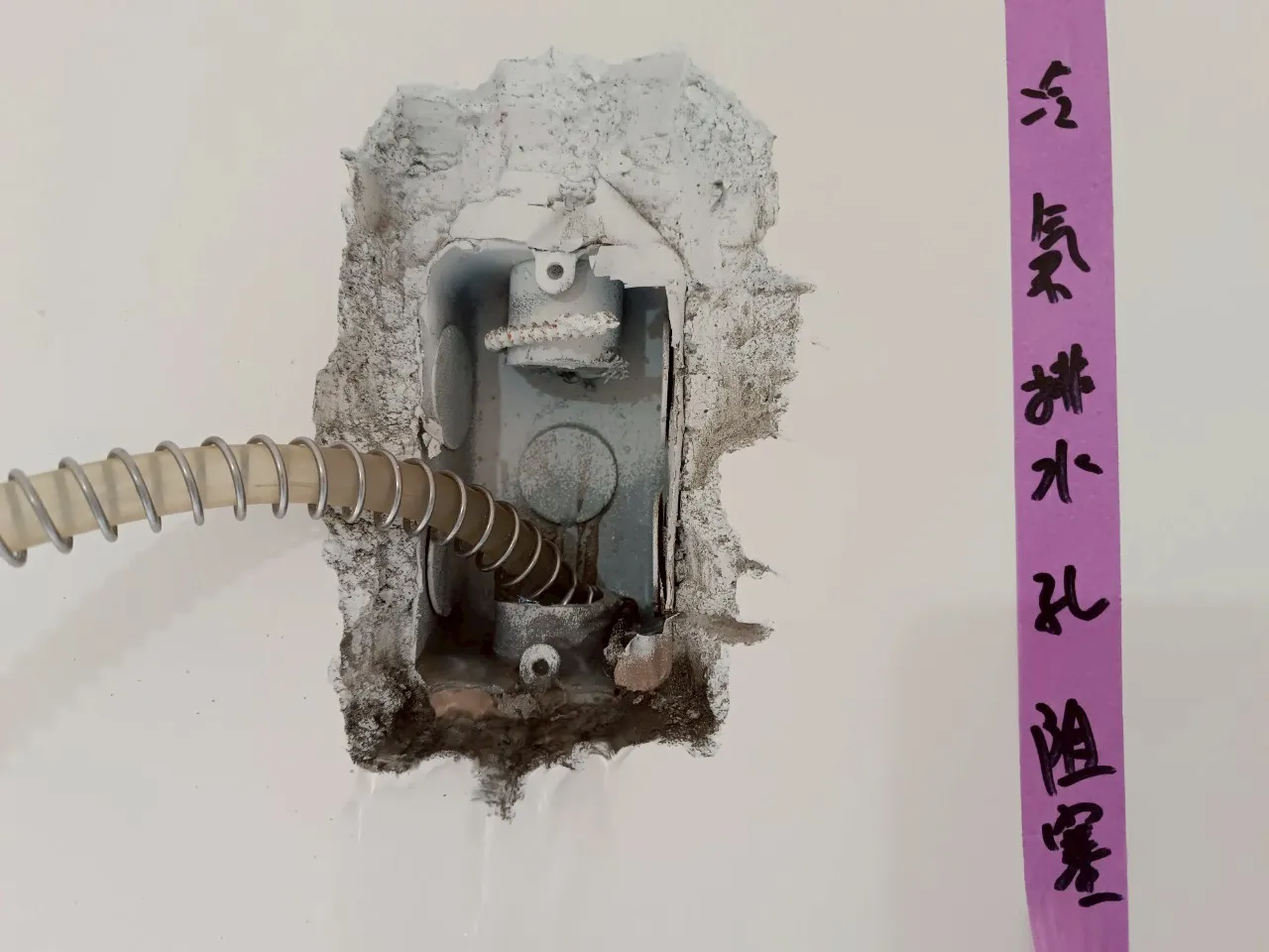 亞灣區 星玥灣
