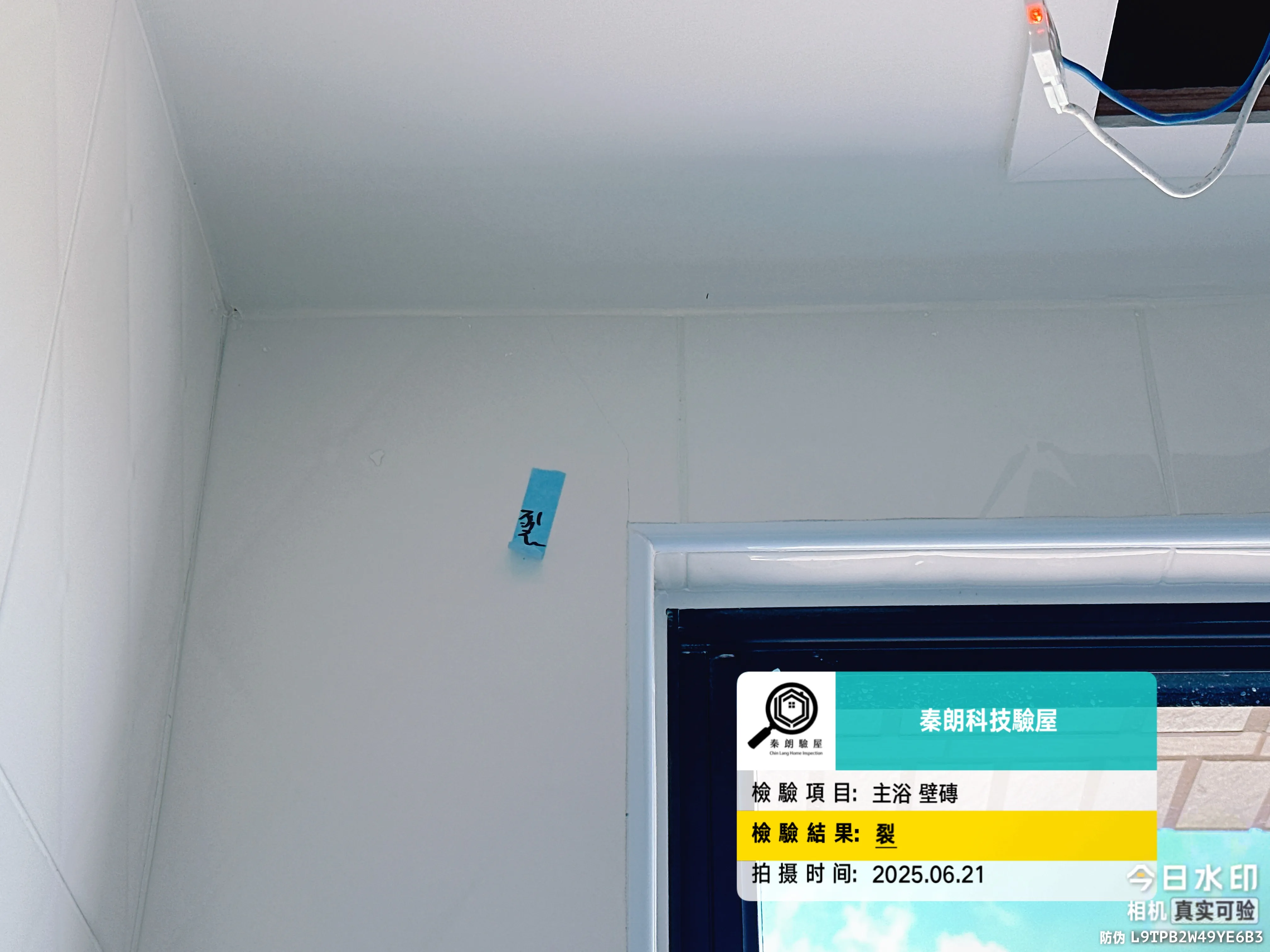 柳營 樂沐NEW贏