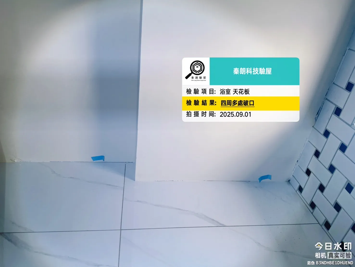 安定 五十皇冠6