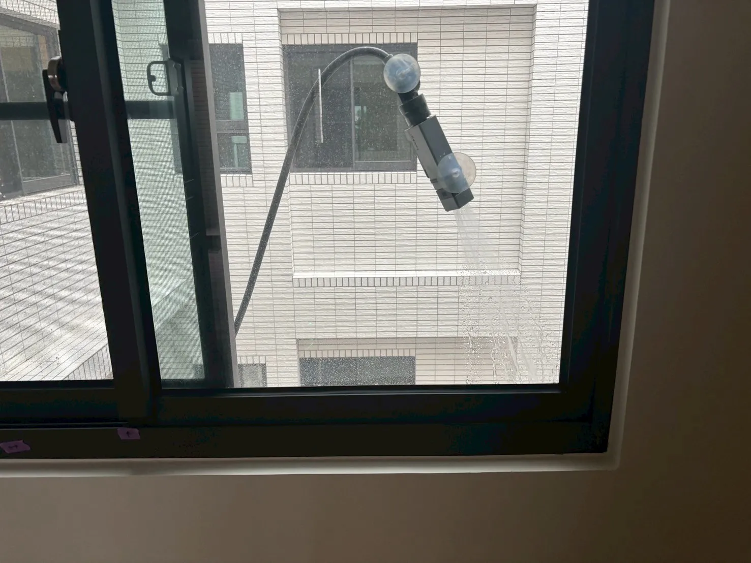 佳里 曉日常