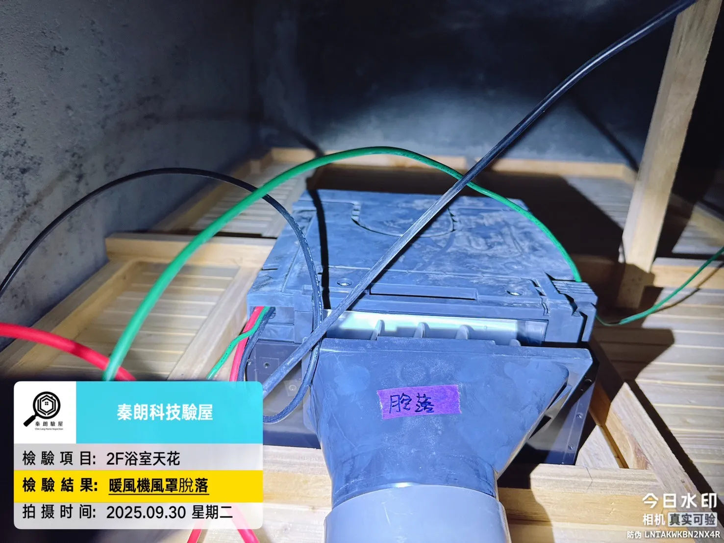 茄萣 漁上游6