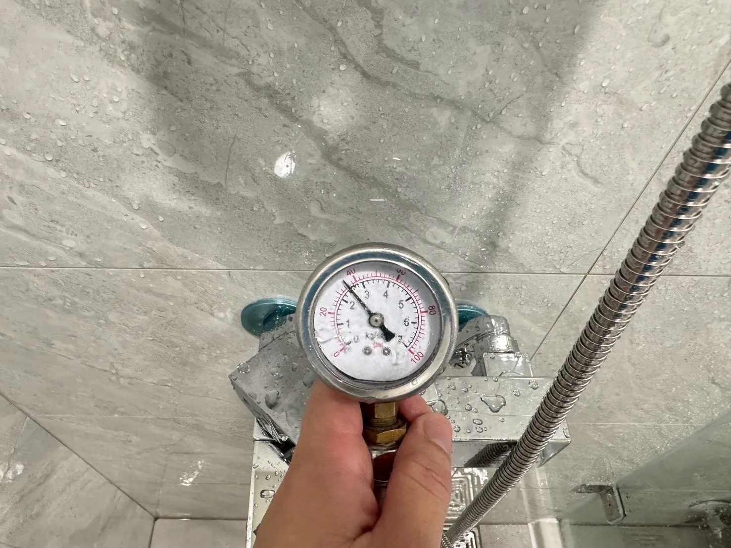 楠梓 鳳凰萃