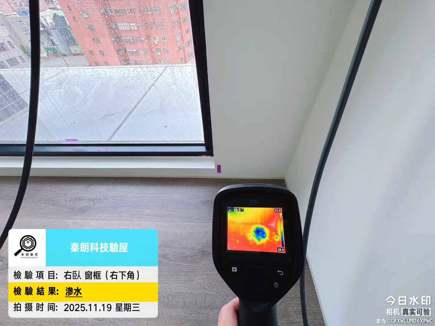 新營 清景麟長勝