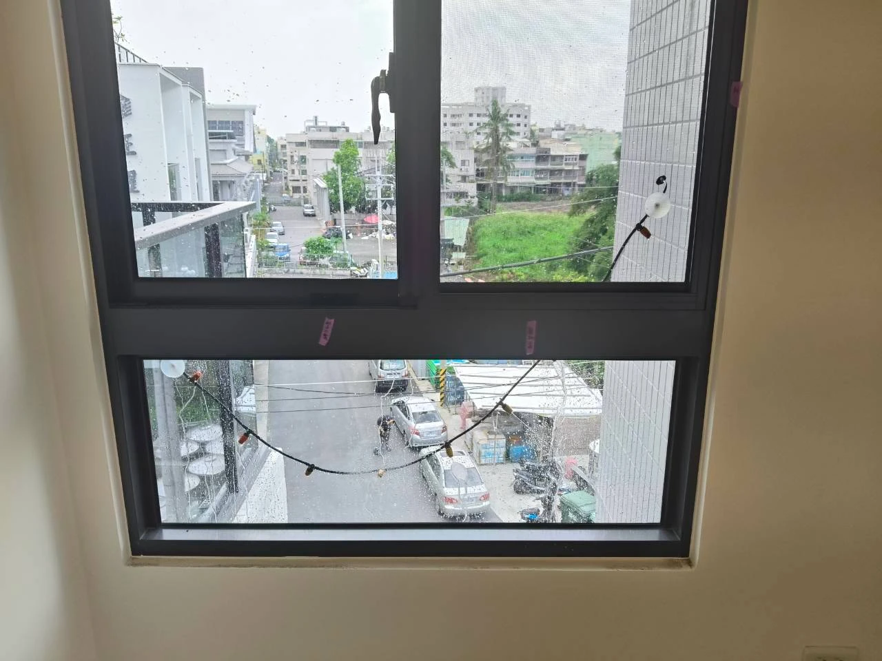 大樹 淞之曜