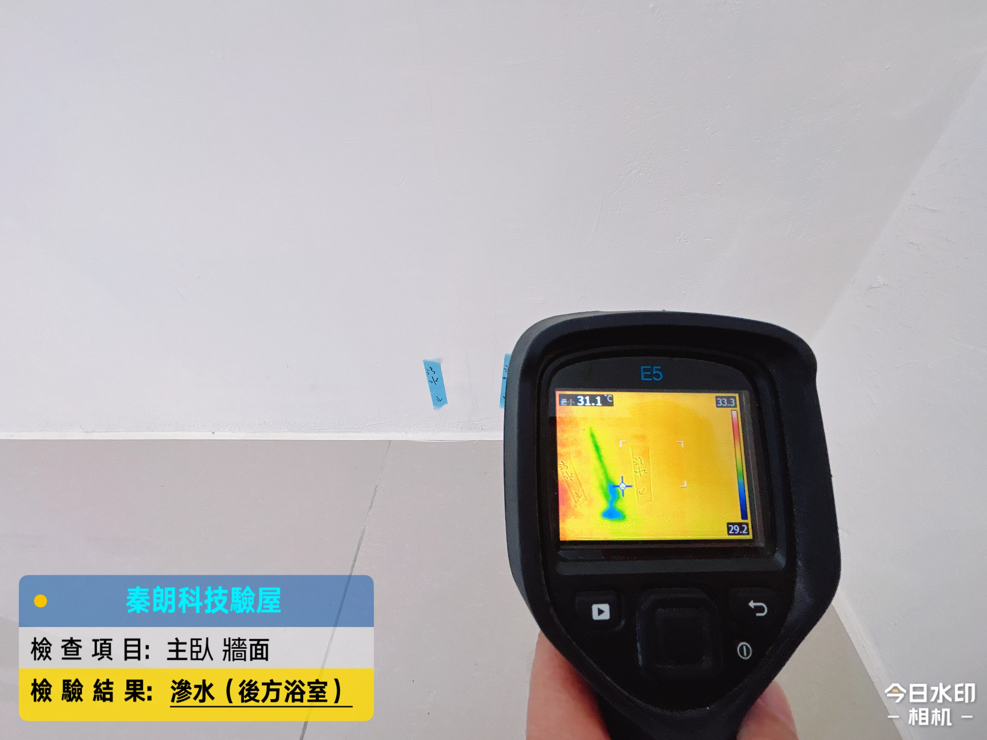 龍騰鑫空樹