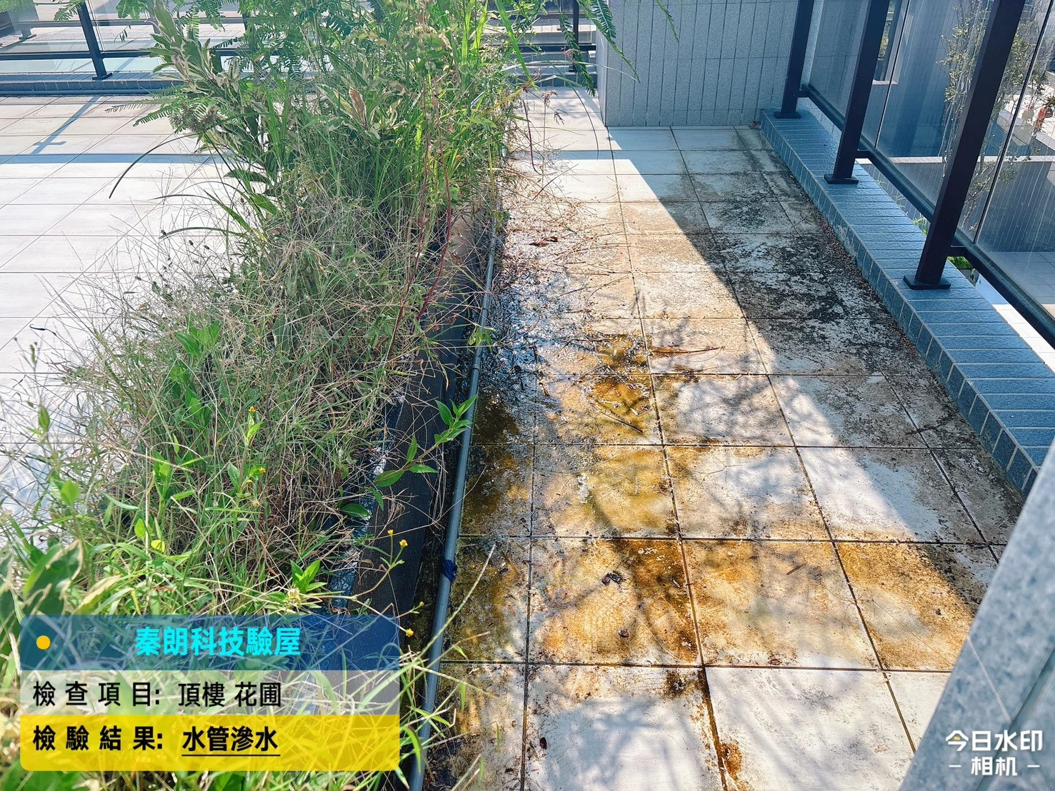 安定 南科綻