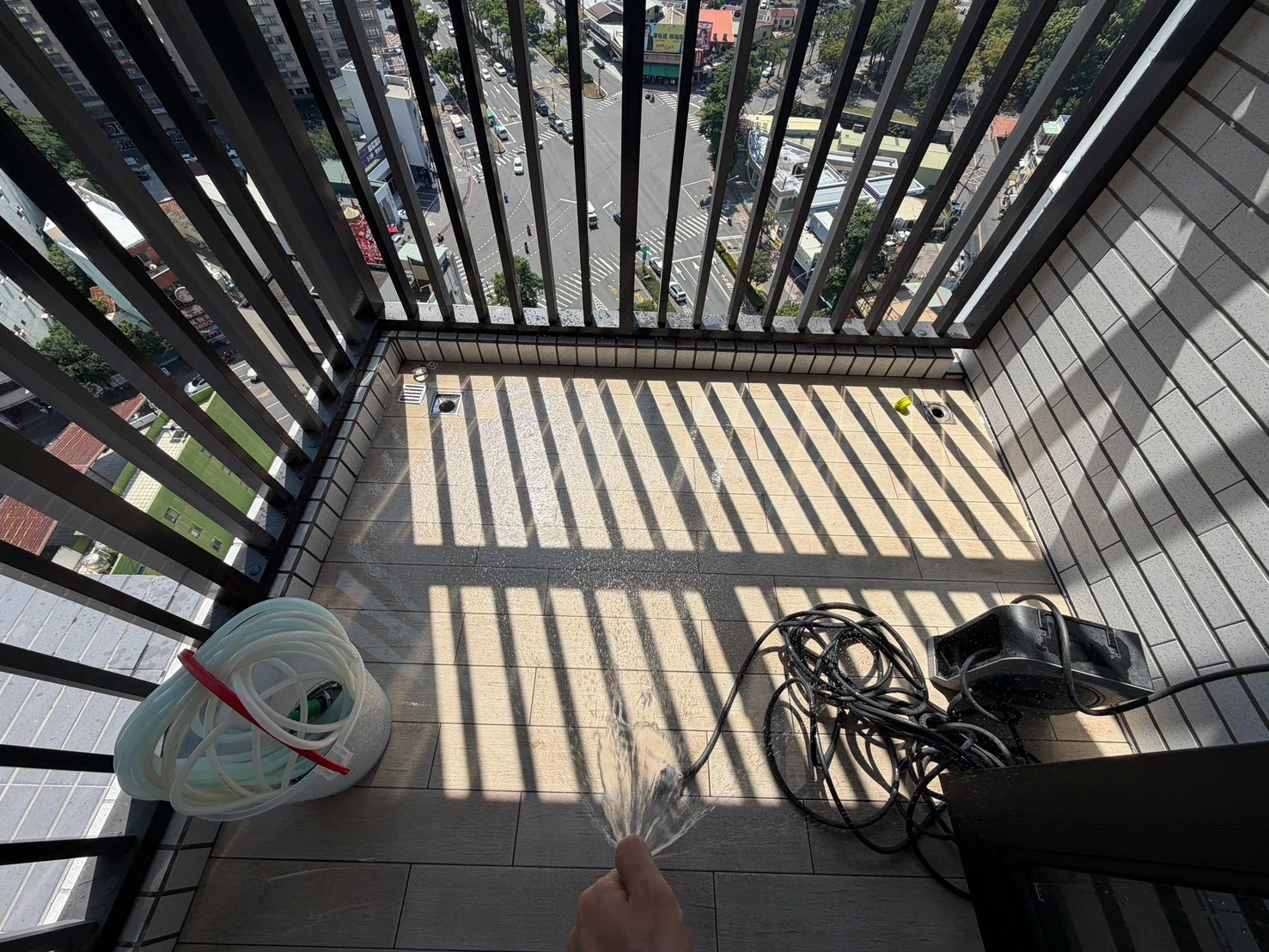 龍騰 鑫空樹