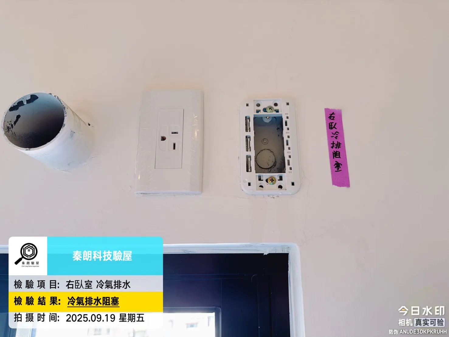 屏東 大佶成禾風5