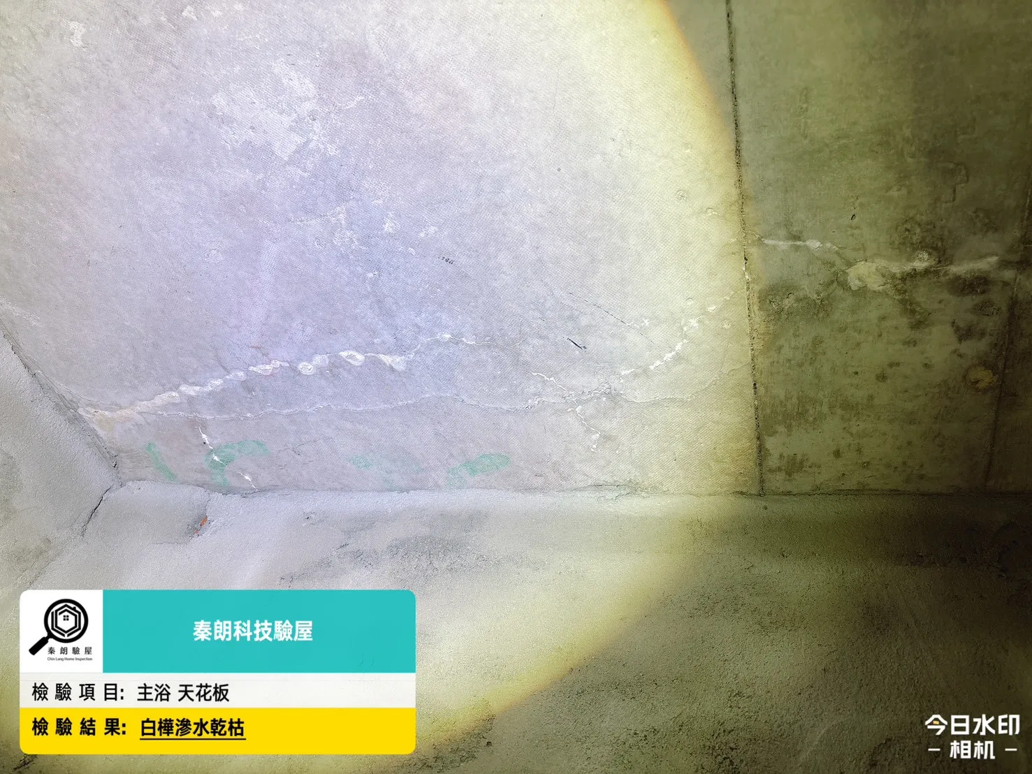 安南 藏紅11和樂居