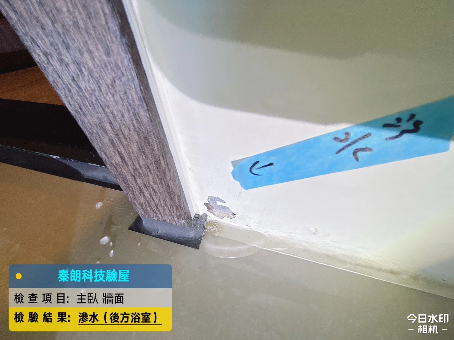 龍騰鑫空樹