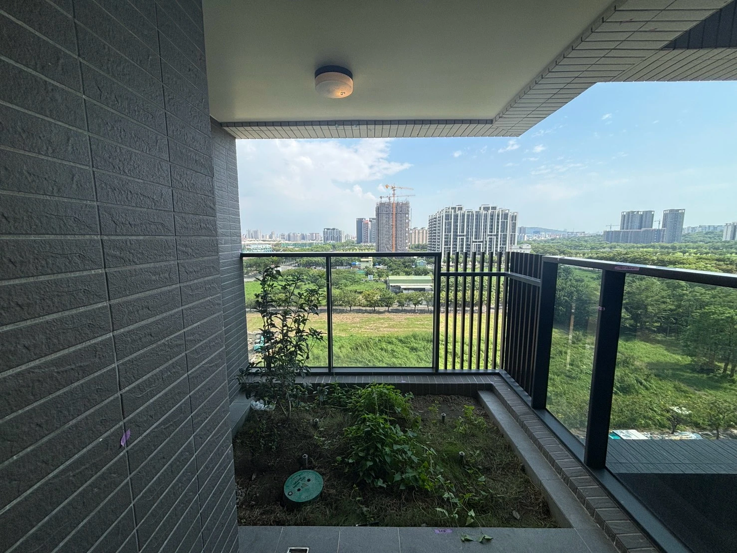 橋頭 清璞