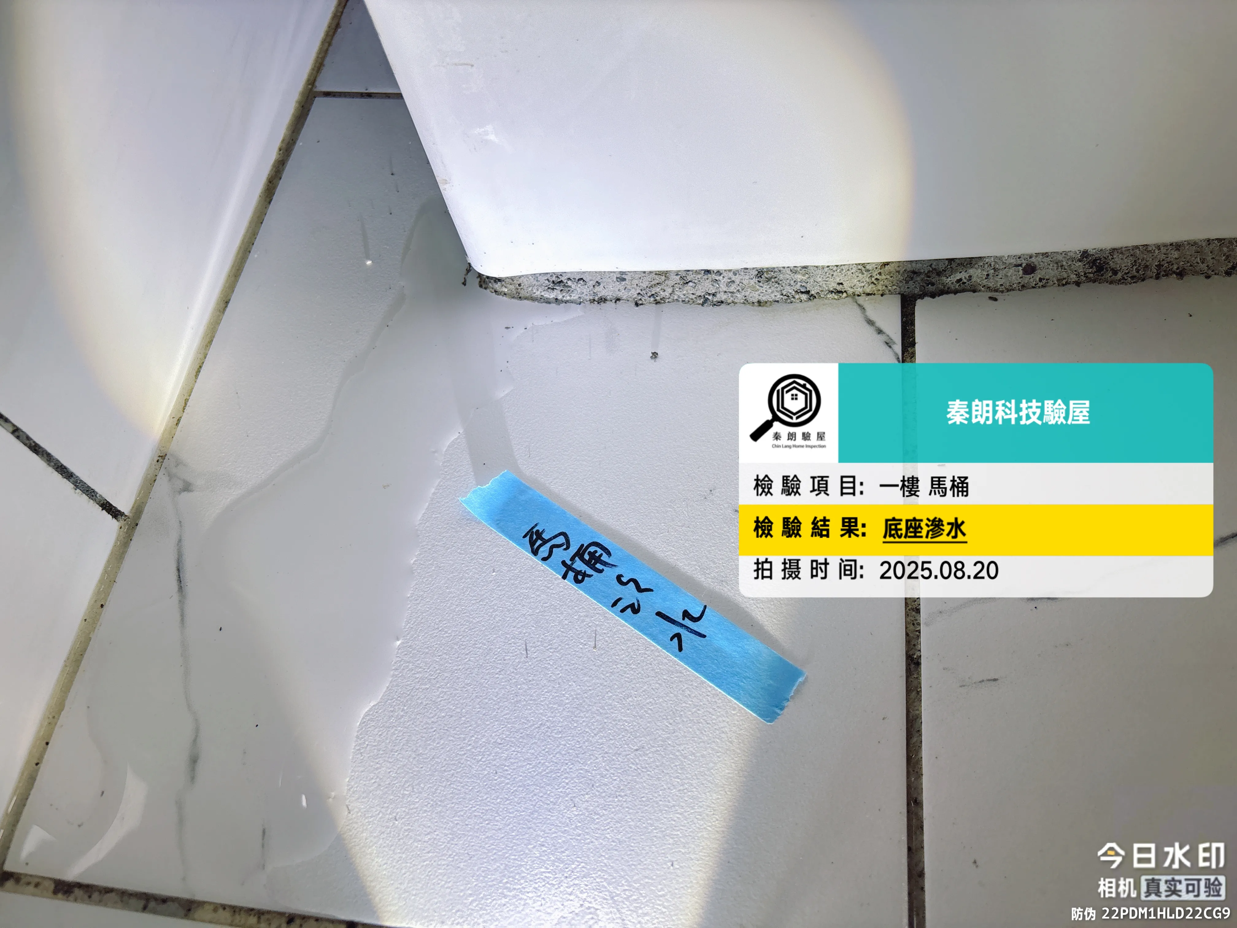 阿蓮 舜發富貴6
