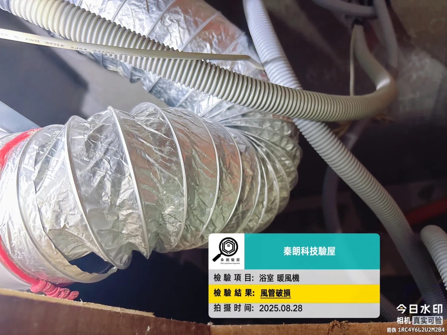 楠梓 京城水森林