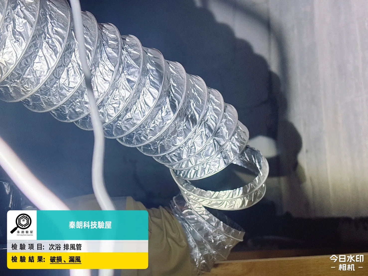 安南區 小王子8