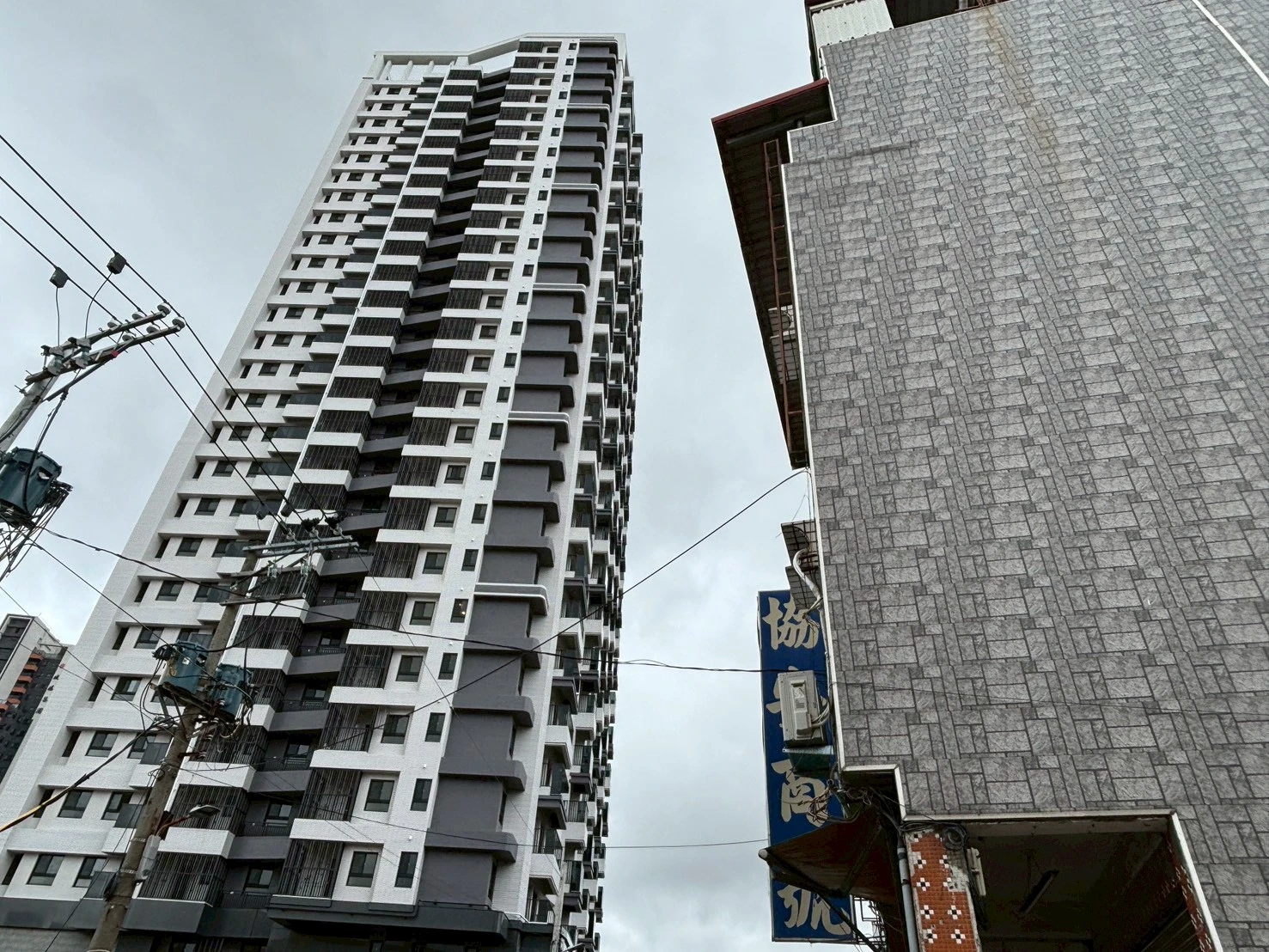 龍騰鑫空樹