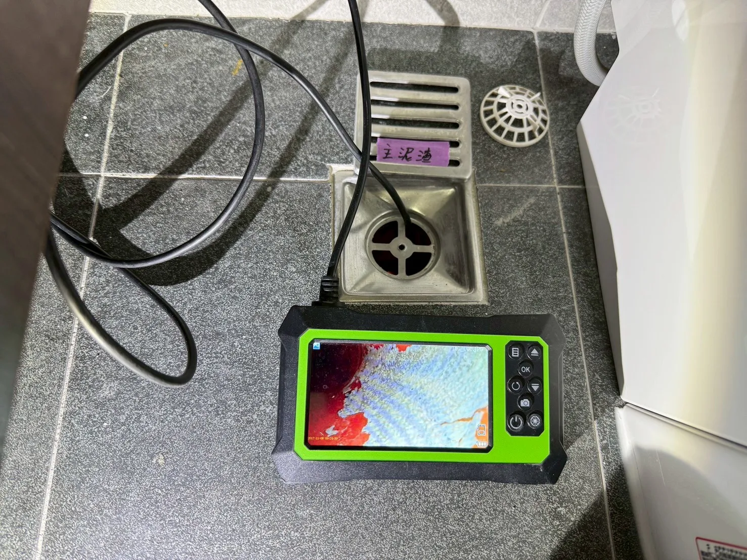 新營 清景麟長勝