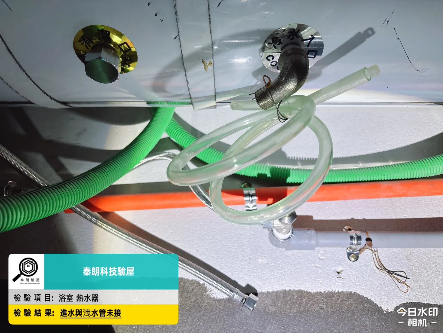 歸仁 達麗世界仁