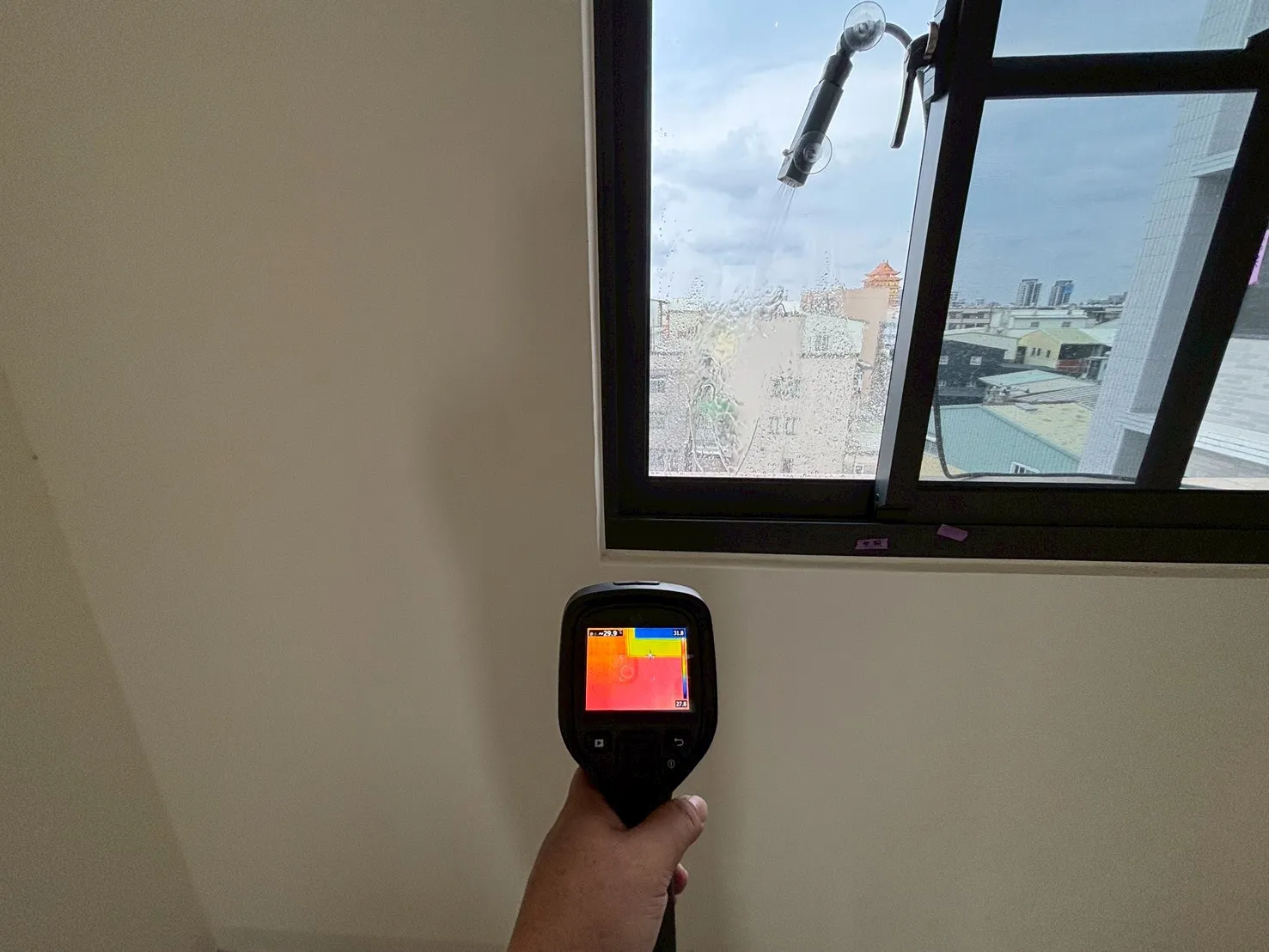 安南 藏紅11和樂居