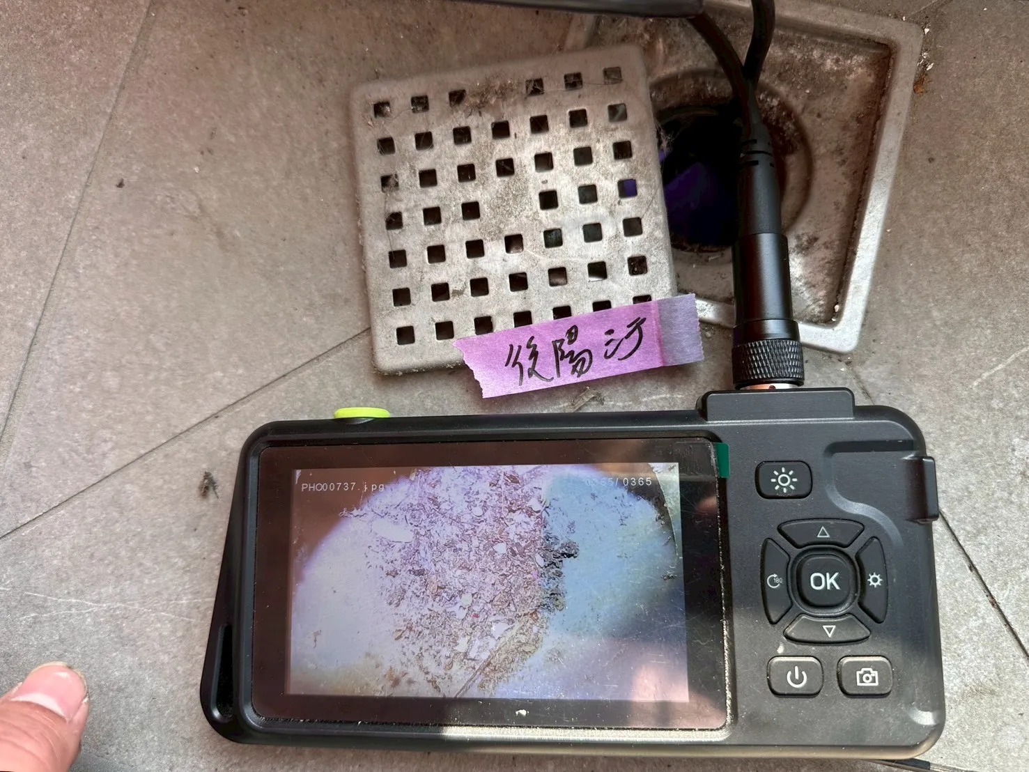 安南區 小王子8