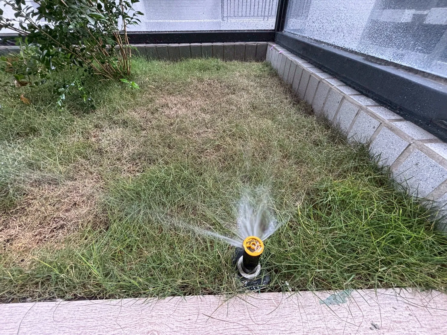 仁武 鑫世紀