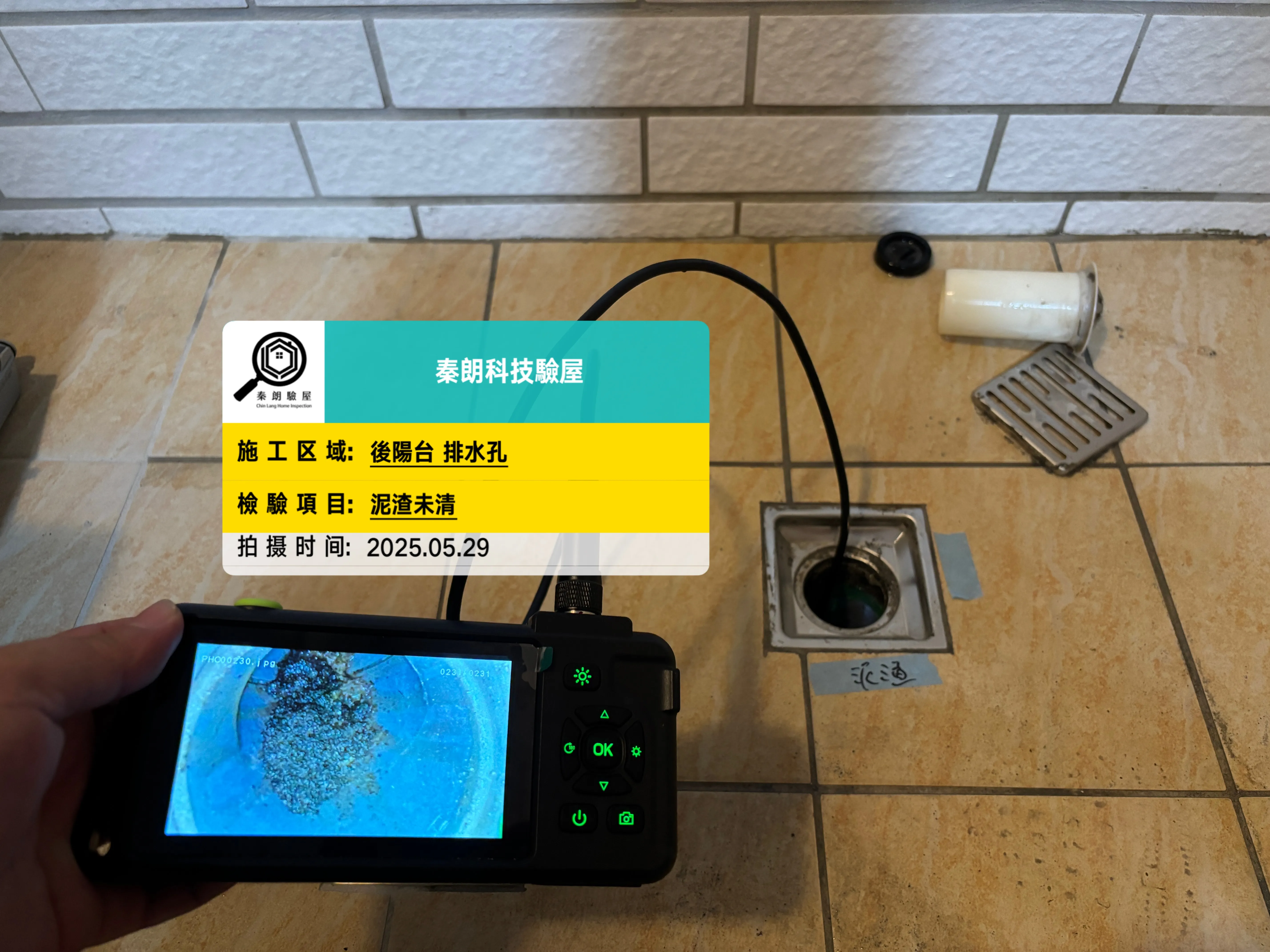 梓官 龍鉅毓未來