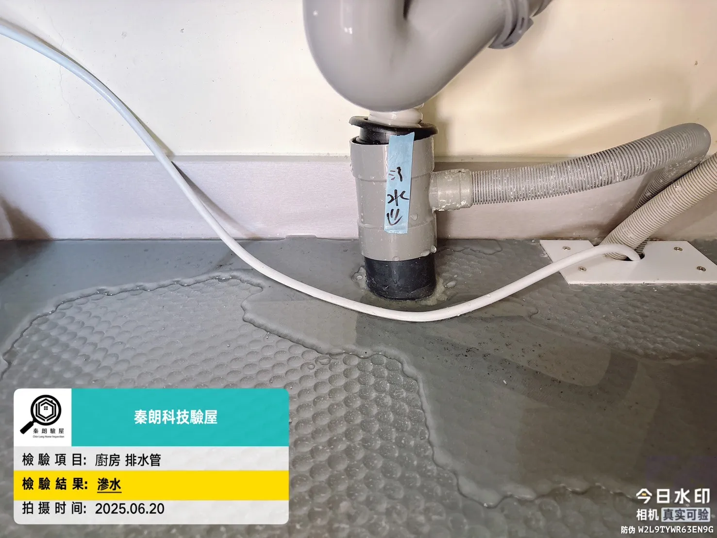 亞灣區 星玥灣