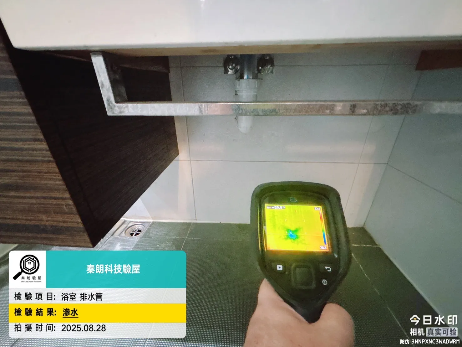 楠梓 京城水森林